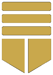 Vialedsa logo
